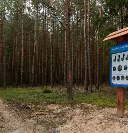 Tip na výlet - Lesní naučná stezka Sulislav